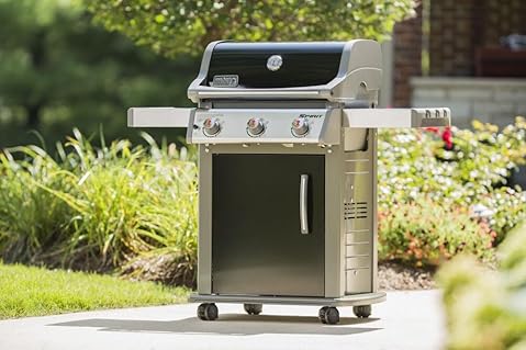 best 3 burner gas grills for bbq Weber