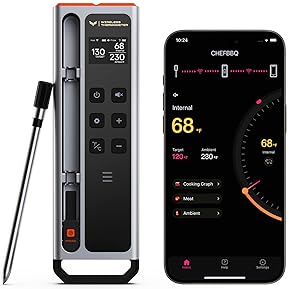 best wifi bbq thermometer